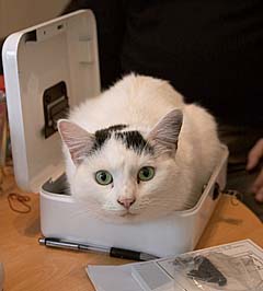 Hey, this is a box I haven't been to before!